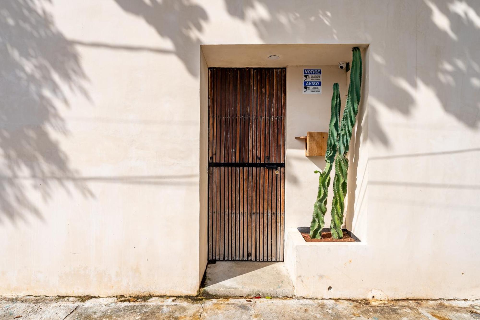 Casa Jicama Apartamento Cancún Exterior foto